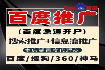 案例分析：SEM广告助力中小企业崛起